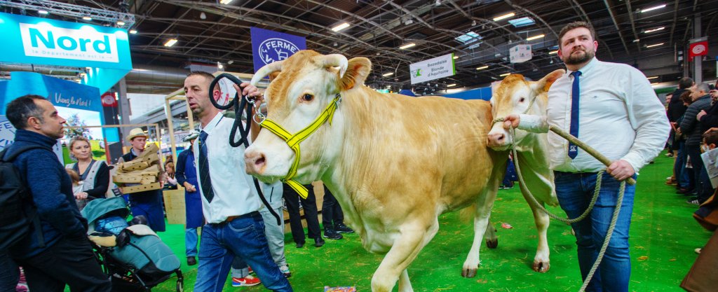 La Ferme GAEC Le Sulens : La famille Aymonier - Garnier, éleveurs de vaches laitières, à la conquête du Salon International de l'Agriculture 2025 à Paris  !