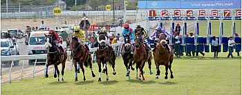 Maurice : les courses hippiques relancent l’effervescence du Champ de Mars