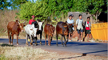 MADAGASCAR : « Redorons Ensemble l’Image de Madagascar » une campagne pour raviver l’image de la destination !