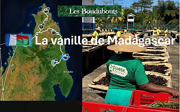 Acteurs Locaux de Sambava - Les Boudubouts nous font découvrir la production de Vanille de Trimeta dans le Nord de Madagascar
