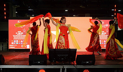 Asian Pop Culture Festival : un voyage au cœur des cultures asiatiques