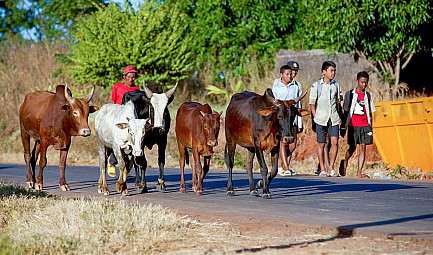 MADAGASCAR : « Redorons Ensemble l’Image de Madagascar » une campagne pour raviver l’image de la desti..