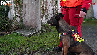 Acteurs-Locaux de TV Locale Nantes - découverte du travail des Chiens-Pompiers