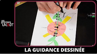 TV Locale Nantes - La guidance dessinée