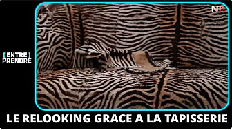 TV Locale Ancenis - Le relooking grace à la tapisserie