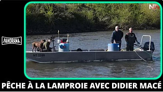 TV Locale Loire-Atlantique - Pêche à la lamproie avec Didier Macé